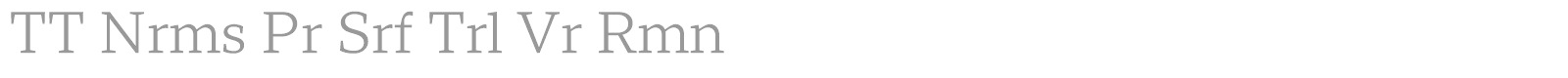 TT Norms Pro Serif font preview